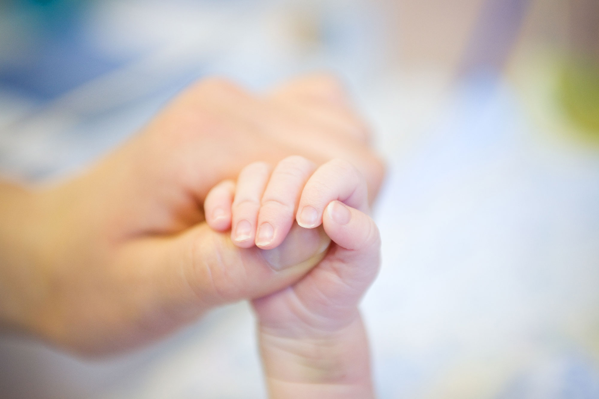 Руки отца песня. Parent holding Baby hand рисунок. Фото рук семьи. Родительские руки картинки. Newborn Baby hand.