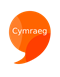 Welsh speaker